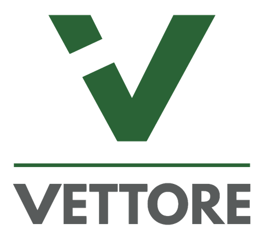 Vettore